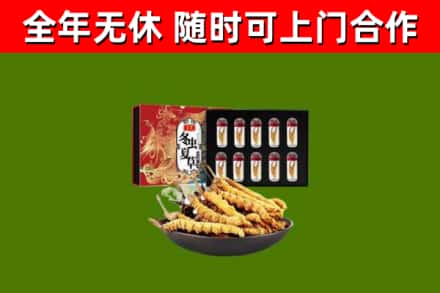 红岗区回收冬虫夏草价格